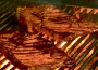 McLouth BBQ Blowout