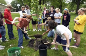 Valley Falls sixth-graders plant a tree in the city park.