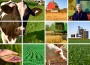 A farm or ranch business is more than only the farm assets. The farm business includes people, the assets and liabilities of the farm finances, the day-to-day operation, the marketing and purchasing as well as the labor, management and decision making aspects.