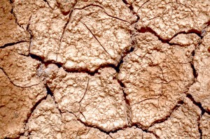 Kansas drought
