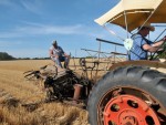 The association members cut only enough bundles for three wagon loads, which they will store until show time. Wheat Harvest