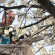 Barry Wells of B&B Tree Removal